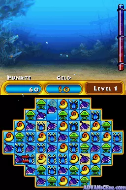 Image n° 3 - screenshots : Fishdom DS